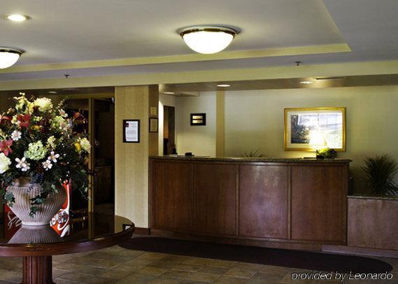 לינטיקום Holiday Inn Baltimore BWI Airport, An Ihg Hotel מראה פנימי תמונה